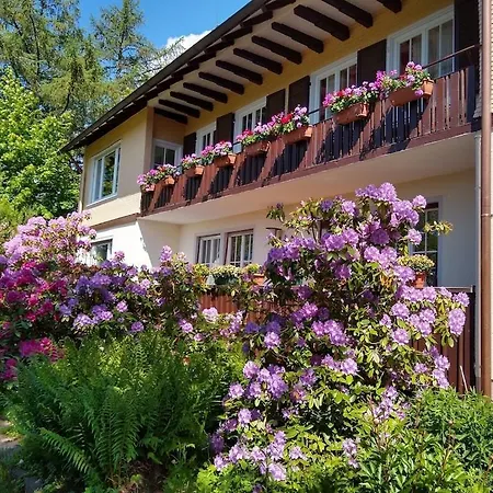 Panoramablick Freudenstadt