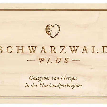 Apartment Panoramablick Freudenstadt