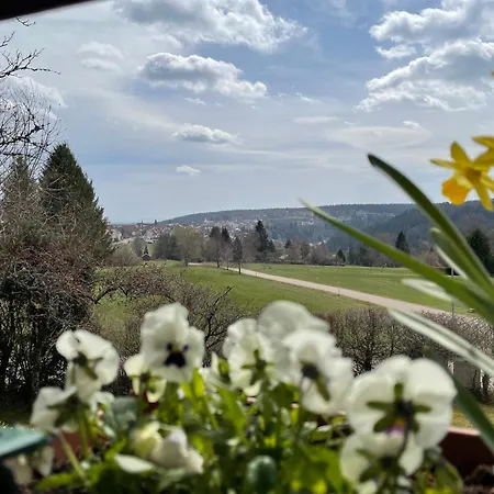 Panoramablick Apartament