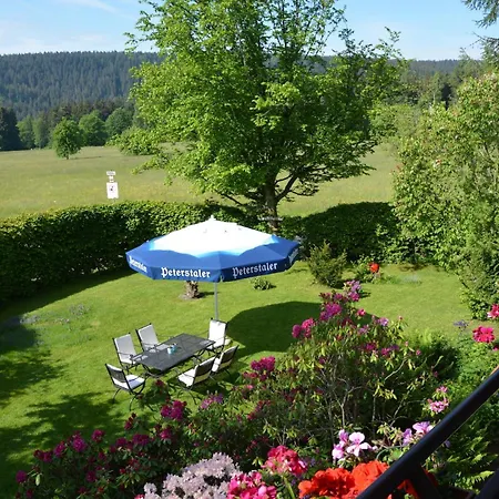 Apartment Panoramablick Freudenstadt