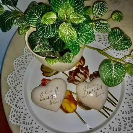 Panoramablick Freudenstadt