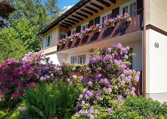 Panoramablick Freudenstadt