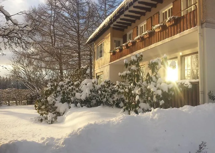 Panoramablick * Freudenstadt