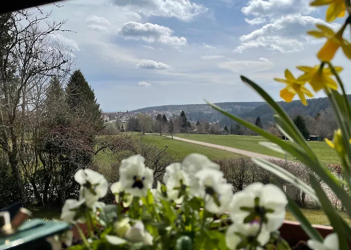 Panoramablick Apartamento