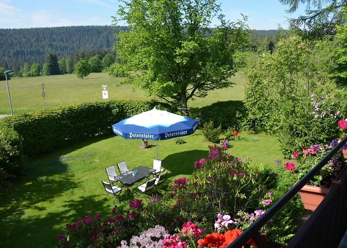 Apartamento Panoramablick Freudenstadt