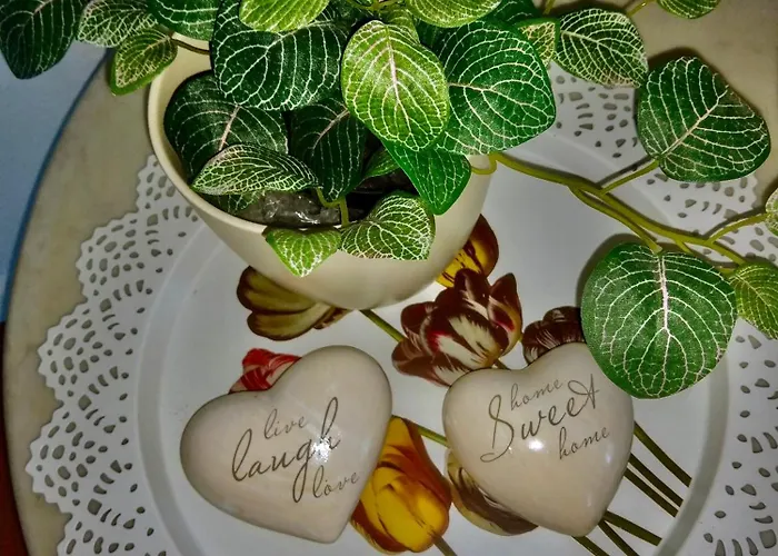 Panoramablick Freudenstadt